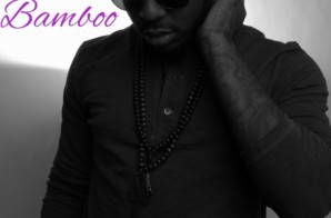 Bamboo (@_IamBamboo) – Chasing Butterflies (via @_PrototypeMusic)