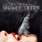 Ameenah Ali – Money Trees