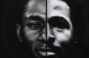 Amerigo Gazaway – Anna’s Love Song (Mos Def x Marvin Gaye)