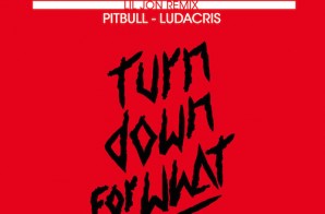 DJ Snake & Lil Jon  – Turn Down For What (Remix) Ft. Pitbull & Ludacris