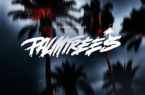 Flatbush Zombies – Palm Trees (Video)