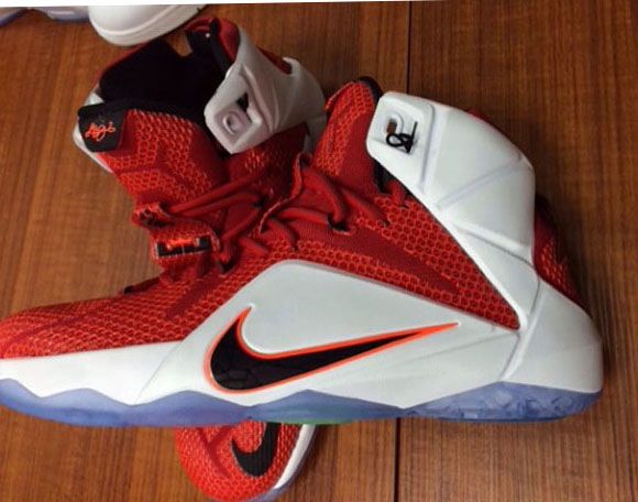 lebrons with the lion on the back