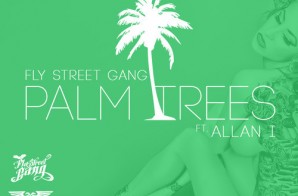 Fly Street Gang x Allan I – Palm Trees (Prod. by Dreemteam)