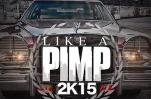 BeatKing x Gangsta Boo x Lil Flip – Like A Pimp 2K15