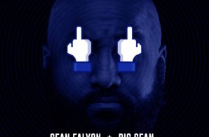 Sean Falyon – IDFWU (BeEverywhere Mix)