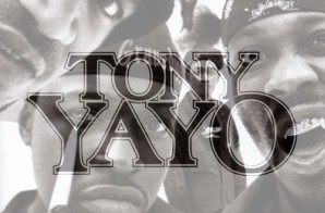 Tony Yayo – Diary Of A Madman