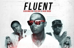 Fluent x Sean Kingston x Red Cafe & Chloe Crush – Rude Boy (Prod. by J. Cardim)