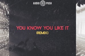 Audio Push – You Know You Like It (Remix)