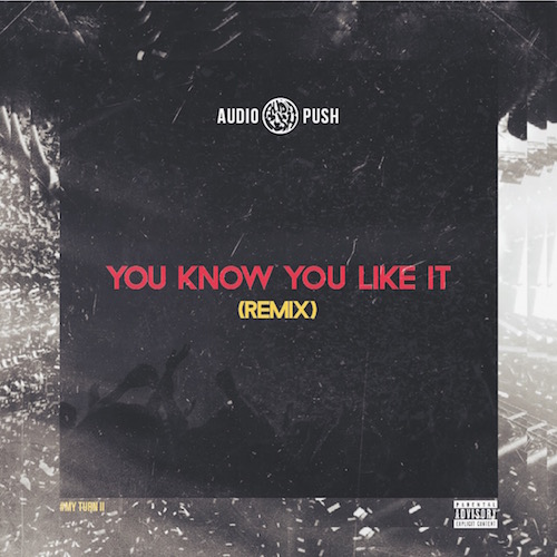 youknowyoulikeitrmx Audio Push – You Know You Like It (Remix)  