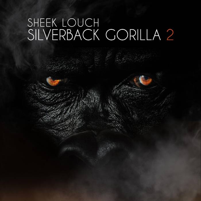sheek louch silverback gorilla