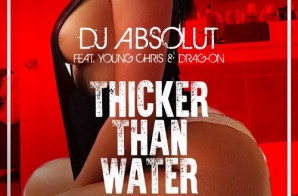 Young Chris & Drag On – Thicker Than Water