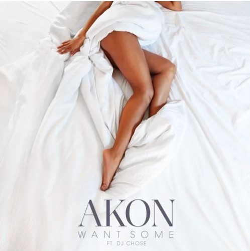 akon-want-some-498x500 Akon - Want Some Ft. DJ Chose 