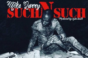 Mike Larry – Such N Such