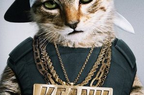 Want To See Warner Bros’ Upcoming Film “Keanu? Enter For A Chance To Win Tickets Or a “Keanu” Prize Pack