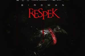 Birdman – Respek