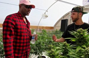 Purple Haze Is More Than Just A Classic Album Coming From Cam’Ron. It’s A New Business Venture