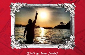 Sean Falyon – Don’t Ya Know (Remix)