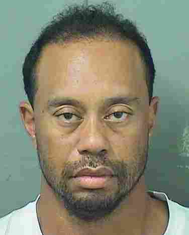 IMG_1469 Tiger Woods Arrested on Suspicion of DUI in Florida  