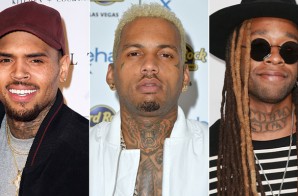 Chris Brown – Surprise You (The Life) Ft. Ty Dolla $ign & Kid Ink