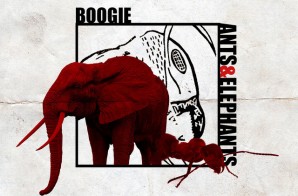 Boogie – Ants & Elephants (Project Stream)