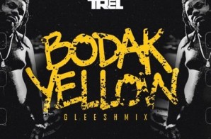 Fat Trel – Bodak Yellow (Gleesh Mix)