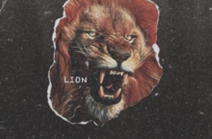 Young Pinch – Lion