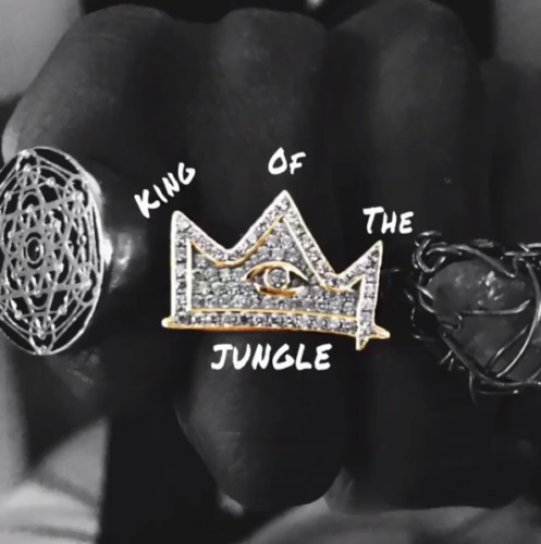 kotj-497x500 Joey Bada$$ - King Of The Jungle 