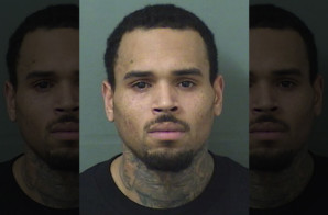 Chris Brown Arrested On Outstanding Warrant!