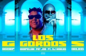 Fat Joe – Los Gordos feat. DJ Khaled & Akapellah (Video)