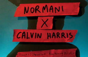 Normani x Calvin Harris – Checklist ft Wizkid/Slowdown