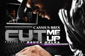 Cassius Brix – Cut Me Up (Album Stream)
