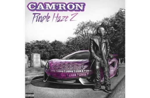 Cam’ron – Purple Haze 2
