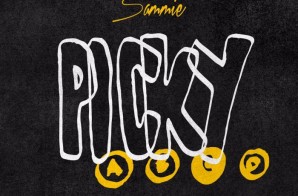 Sammie x Rotimi – Picky (Lyric Video)