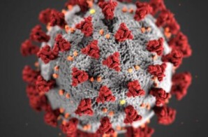 Coronavirus Update: Covid-19 Vaccine before the year is over?
