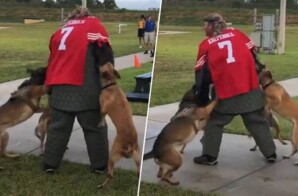 Navy to thoroughly investigate man dressed in Colin Kaepernick jersey for K-9 demonstration