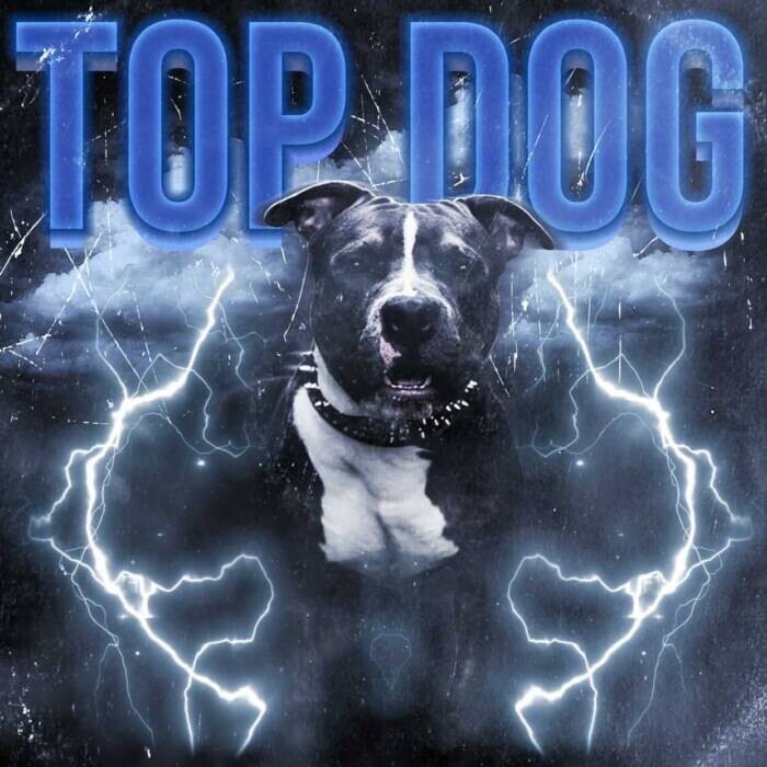 FA3DAFD5-4762-493F-966B-0A592CD0986A Upcoming Philly Artist Husain Releases New Project "Top Dog"  