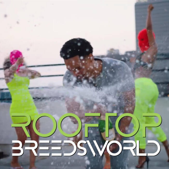 unnamed-1-14 BREEDSWORLD - "Rooftop" (prod. by Chef Boyz)  