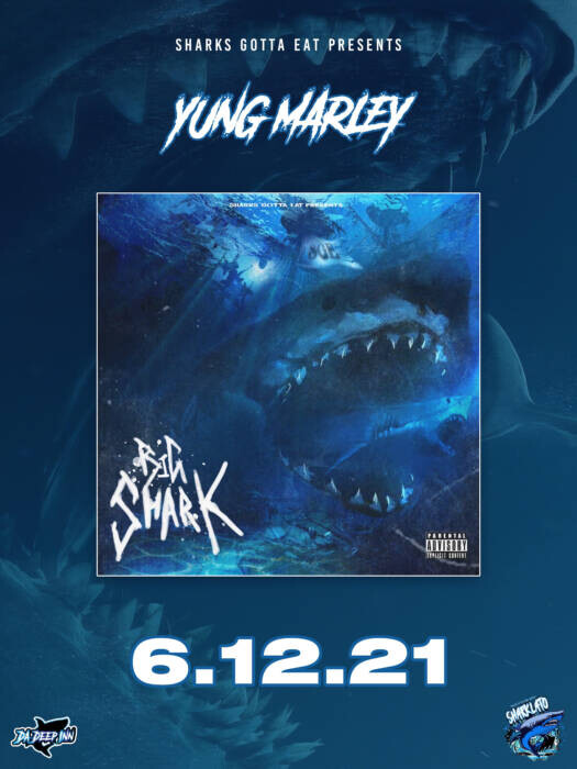 unnamed-40 YUNG MARLEY - BIG SHARK (Album with Lil Yatchty & MORE) AND SHARK WEEK EVENT RECAP  