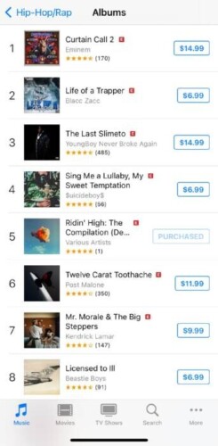 iTunes-Ridin-High-245x500 Ridin High The Compilation (Deluxe) Soars to Top 5 on iTunes Chart 