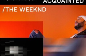 Weeknd Fans, Get “Acquainted” with anotherblock’s Royalty NFTs