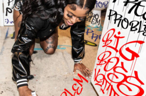 BIG BOSS VETTE IS A “PROBLEM” ON NEW VIDEO SINGLE