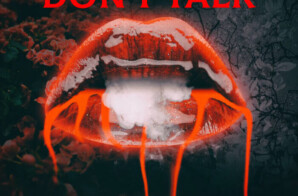 Artist/Producer Ace Drucci Releases New Single ‘Don’t Talk’